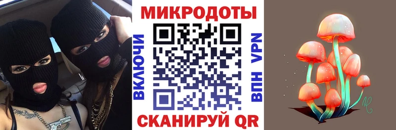 Псилоцибиновые грибы Psilocybe  Кола 