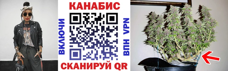 сайты даркнета какой сайт  Кола  Каннабис AK-47 